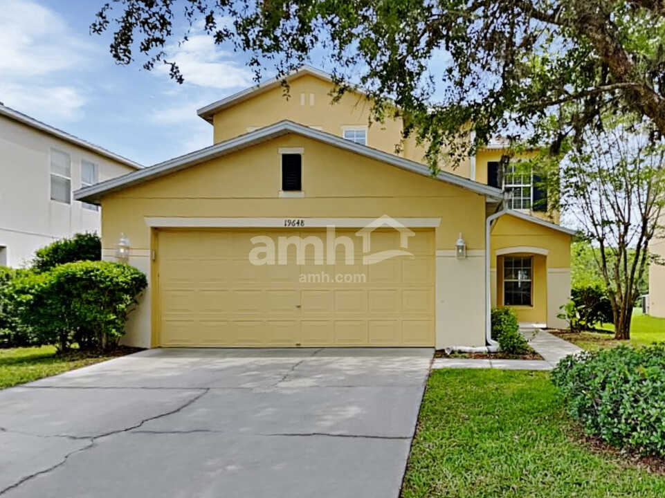 19648 Timberbluff Dr in Land O Lakes, FL - Building Photo