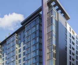 1343 Ives Pl SE in Washington, DC - Building Photo - Building Photo