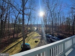 384 Peach Orchard Rd in Luray, VA - Building Photo - Building Photo