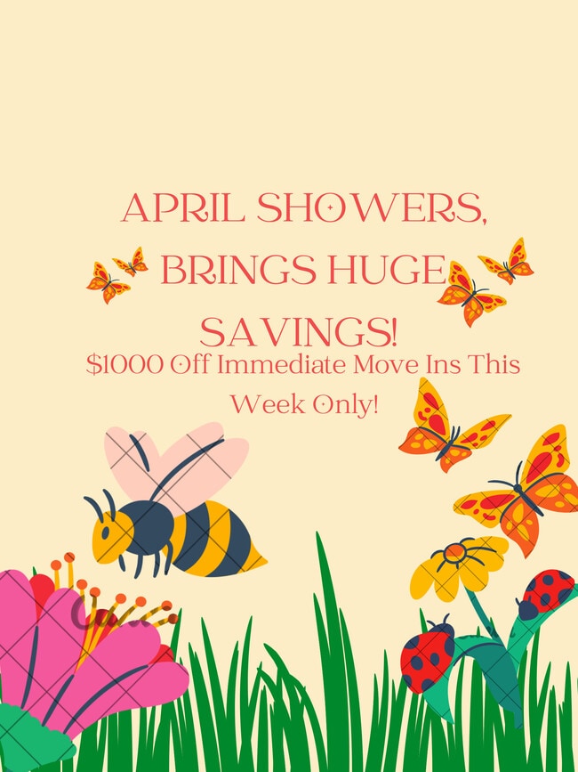 Springs of Country Woods