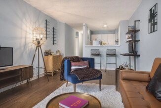 449 E Ohio St in Chicago, IL - Foto de edificio - Building Photo