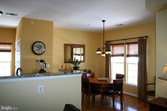 22706 Blue Elder Terrace in Ashburn, VA - Building Photo - Building Photo