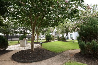 Green Tree Place in Houston, TX - Foto de edificio - Building Photo