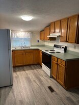 205 S Ottawa St, Unit #1 in St. Johns, MI - Building Photo