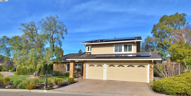 204 Cypress Hills Ct in Danville, CA - Building Photo - Building Photo