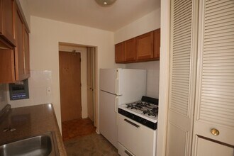 513 W Briar Pl in Chicago, IL - Building Photo - Building Photo