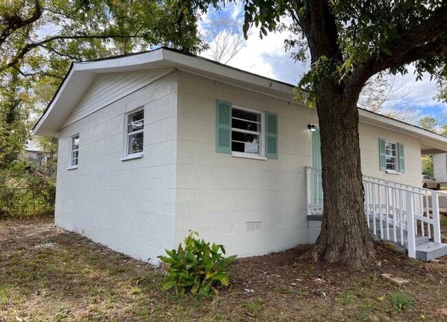 202 Haskell Ward Dr in Griffin, GA - Building Photo - Building Photo