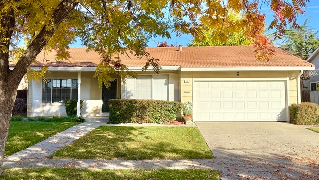 959 Wallace Dr in San Jose, CA - Building Photo - Building Photo