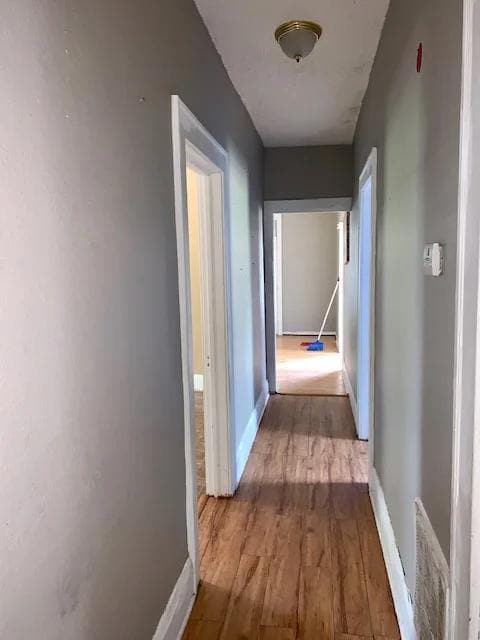 1428 Powhatan Ct in Lakeland, FL - Building Photo - Building Photo