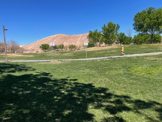 9013 Bridal Creek Ave in Las Vegas, NV - Building Photo - Building Photo