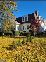 437 S Craig Pl in Lombard, IL - Building Photo