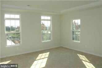 24638 Johnson Oak Terrace in Sterling, VA - Building Photo - Building Photo