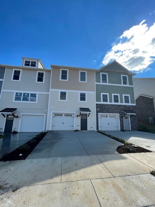 1501 Palomino Trl in Harrisonburg, VA - Building Photo - Building Photo
