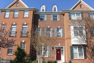 23261 Carters Meadow Terrace in Ashburn, VA - Building Photo