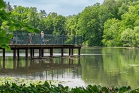 Apartamentos en Birmingham, MI