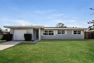 1317 Chesterfield Dr in Clearwater, FL - Building Photo