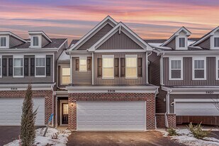 5918 Hawkweed Dr in Naperville, IL - Building Photo