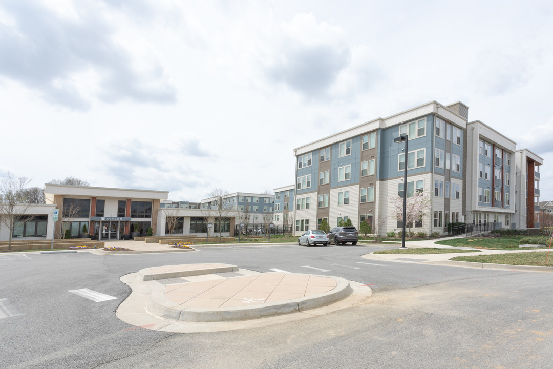 Avalon Arundel Crossing in Linthicum, MD - Building Photo