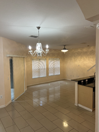 10873 Dragon Wood Dr in Tampa, FL - Building Photo - Building Photo