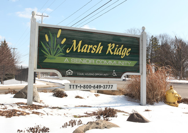 Marsh Ridge