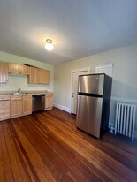 9 Stedman St, Unit 1 in Boston, MA - Building Photo - Building Photo