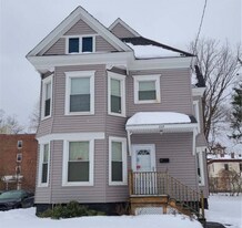 229 Holland St in Syracuse, NY - Building Photo