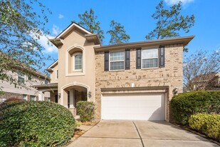 10 Pintuck Pl in Spring, TX - Building Photo