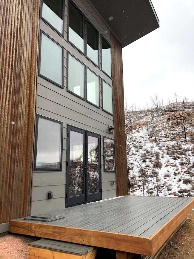 113 Red Mountain Ct in Livermore, CO - Building Photo - Building Photo
