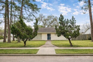 8303 Edgemoor Dr in Houston, TX - Building Photo
