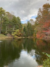 10 Lakemont Cottage Trail in Flat Rock, NC - Building Photo - Building Photo
