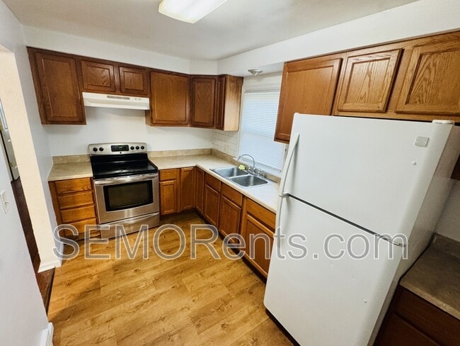 301 S Spring St in Cape Girardeau, MO - Building Photo - Building Photo