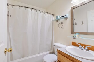 33146 Orchard Dr in Bigfork, MT - Building Photo - Building Photo
