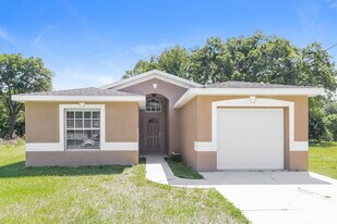 3238 Riverdale Dr in Dade City, FL - Building Photo