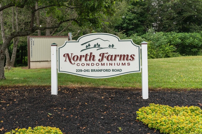 property at 229 Branford Rd