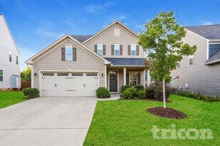 221 Waters Run Ln in Simpsonville, SC - Building Photo