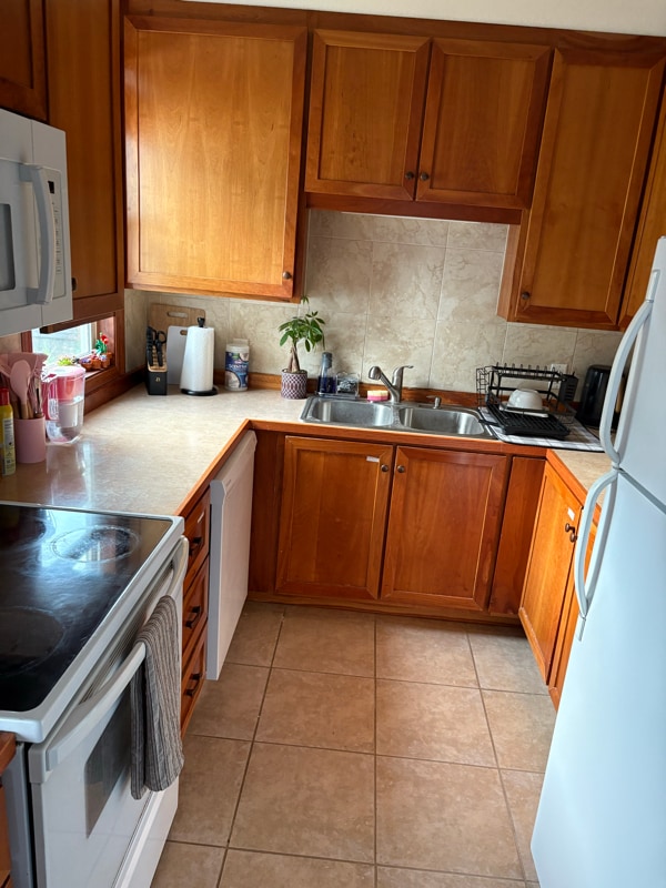 1015 8th Ave NW in Rochester, MN - Building Photo - Building Photo