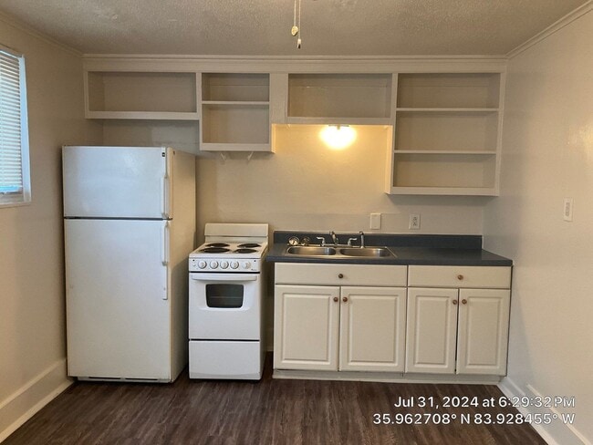203 12th St in Knoxville, TN - Building Photo - Building Photo