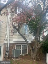 4154 Pleasant Meadow Ct in Chantilly, VA - Building Photo