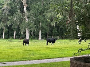 187 NW 45th Loop in Ocala, FL - Building Photo - Building Photo