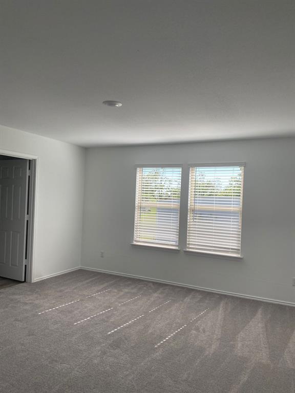 917 Duskywing Wy in Georgetown, TX - Building Photo - Building Photo