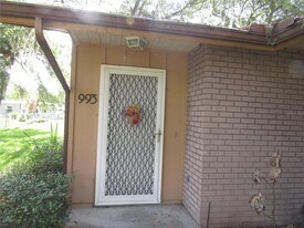 993 Foote St in Eustis, FL - Building Photo