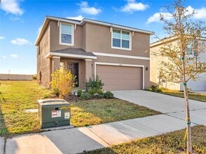 16645 Mosaic Oar Dr in Wimauma, FL - Building Photo - Building Photo