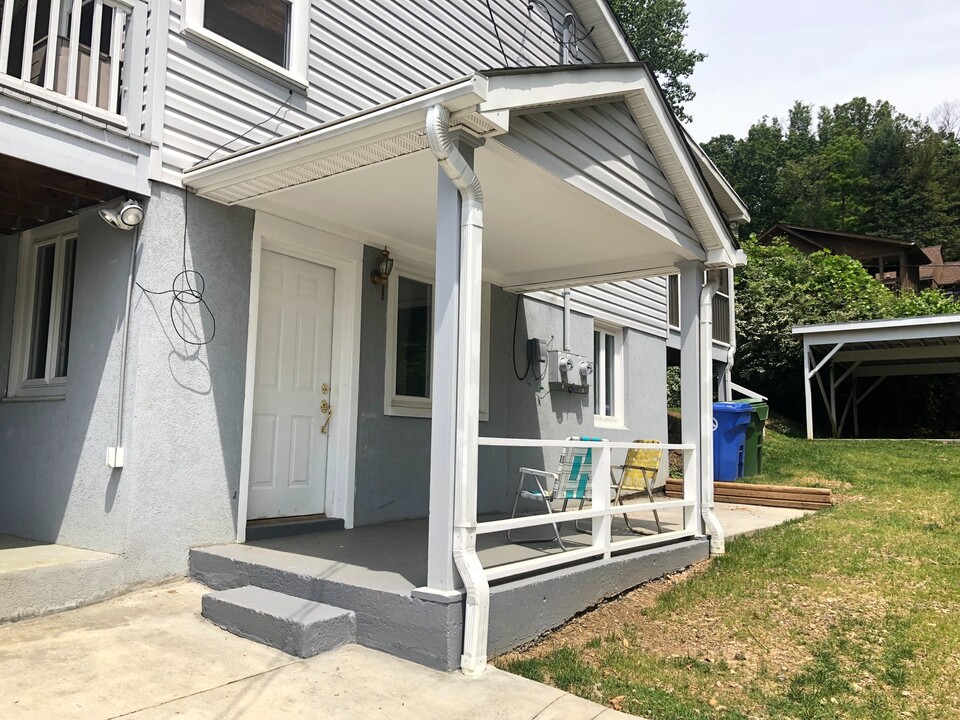 117 Maney Ave in Asheville, NC - Building Photo