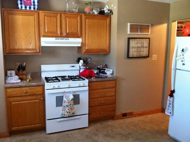 1406 W John St in Champaign, IL - Building Photo - Building Photo