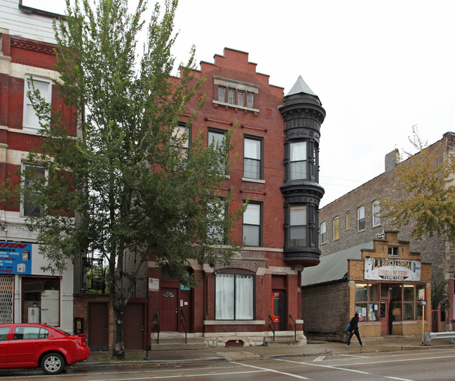 1002 W 18th St in Chicago, IL - Building Photo - Building Photo