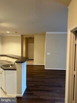 11329 Aristotle Dr in Fairfax, VA - Building Photo