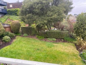 610 Wateree St in Sausalito, CA - Building Photo - Building Photo