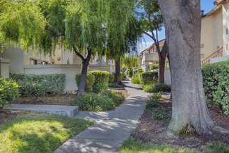 Cowell Terrace in Concord, CA - Foto de edificio - Building Photo