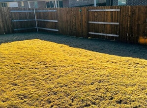 2332 Bravo Pass in Leander, TX - Building Photo - Building Photo