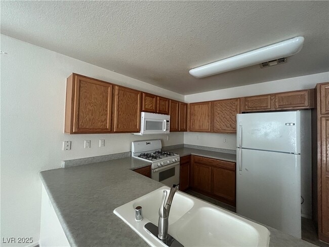 10463 Beautiful Fruit St in Las Vegas, NV - Building Photo - Building Photo